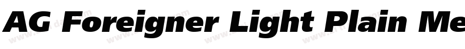 AG Foreigner Light Plain Medium字体转换